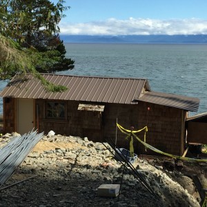 Tiny cabin with new roof